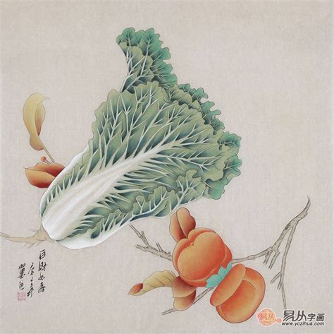 白菜寓意|白菜的寓意和象征